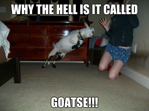 Why the hell is it called Goatse!!!  Angry goat is angry