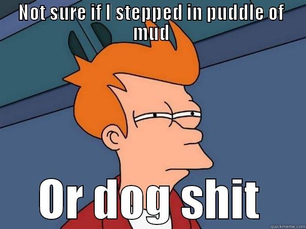 NOT SURE IF I STEPPED IN PUDDLE OF MUD OR DOG SHIT Futurama Fry