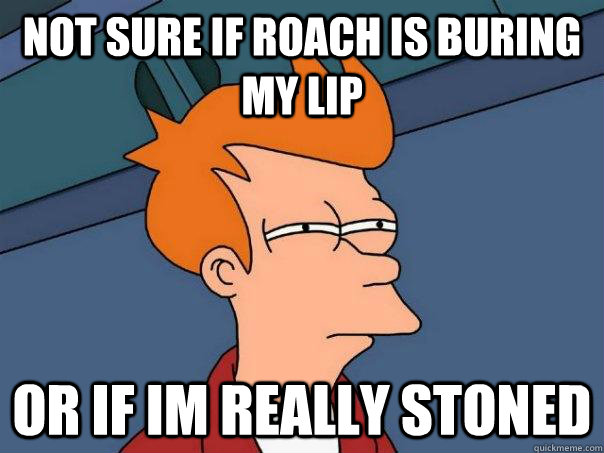 Not sure if roach is buring my lip or if im really stoned  Futurama Fry