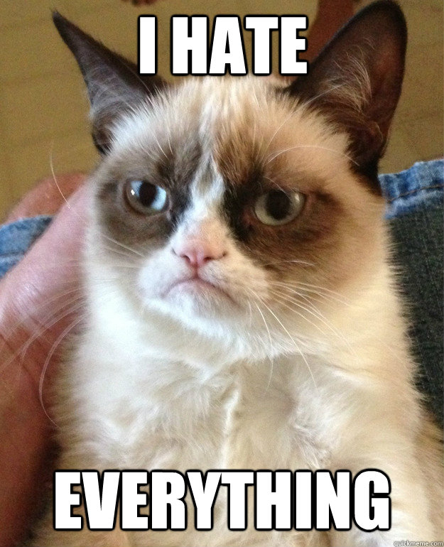 I HATE EVERYTHING  Grumpy Cat