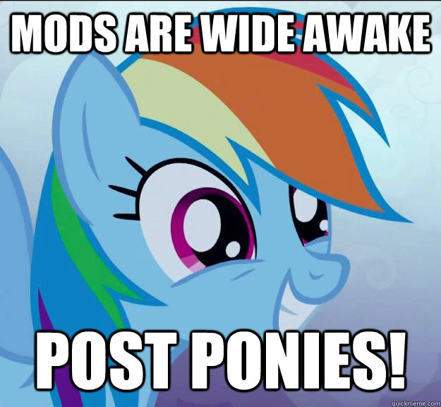 Mods are wide awake post ponies!  Rainbow Dash DO WANT