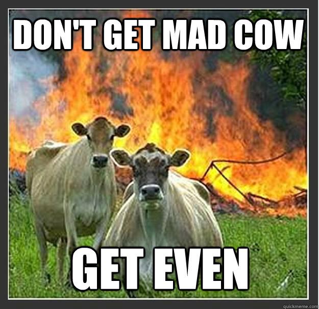 Don't Get Mad Cow Get Even  Evil cows