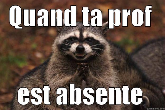 QUAND TA PROF EST ABSENTE Evil Plotting Raccoon