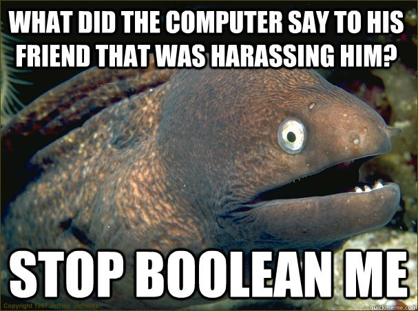 what did the computer say to his friend that was harassing him? stop boolean me  Bad Joke Eel