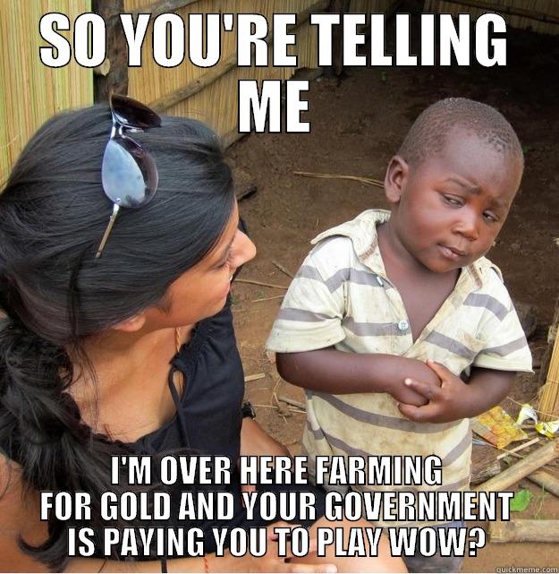 SO YOU'RE TELLING ME I'M OVER HERE FARMING FOR GOLD AND YOUR GOVERNMENT IS PAYING YOU TO PLAY WOW? Skeptical Third World Kid