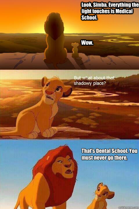 Look, Simba. Everything the light touches is Medical School. Wow. That's Dental School. You must never go there, Simba.   Lion King Shadowy Place