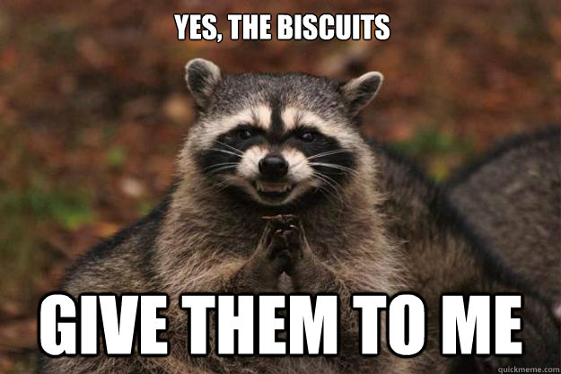 Yes, the Biscuits Give Them to Me - Yes, the Biscuits Give Them to Me  Evil Plotting Raccoon