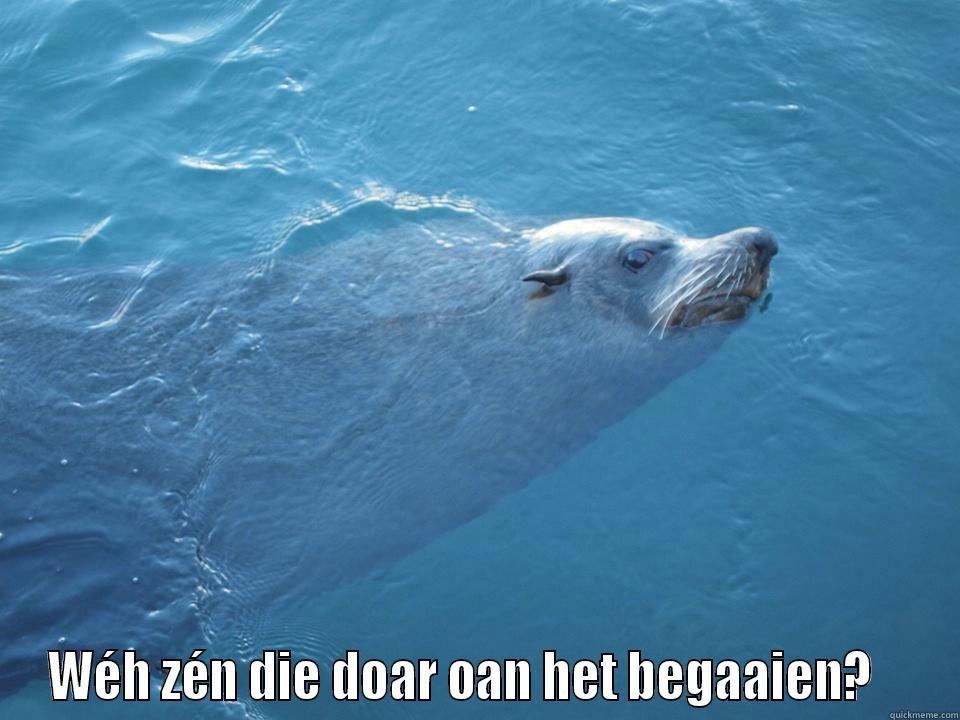 funny seal -  WÉH ZÉN DIE DOAR OAN HET BEGAAIEN?    Misc