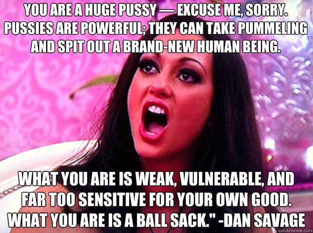 You are a huge pussy — excuse me, sorry. Pussies are powerful; they can take pummeling and spit out a brand-new human being. What you are is weak, vulnerable, and far too sensitive for your own good. What you are is a ball sack.