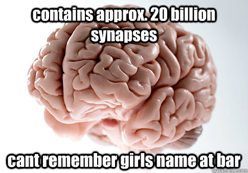 contains approx. 20 billion synapses cant remember girls name at bar   Scumbag Brain