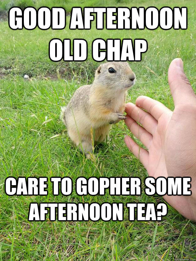 good afternoon old chap care to gopher some afternoon tea? - good afternoon old chap care to gopher some afternoon tea?  Gentleman Gopher