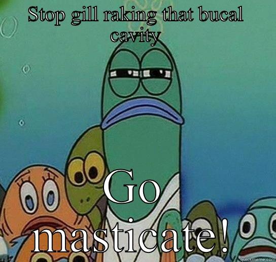 STOP GILL RAKING THAT BUCAL CAVITY GO MASTICATE! Serious fish SpongeBob