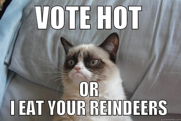 VOTE HOT OR I EAT YOUR REINDEERS Grumpy Cat