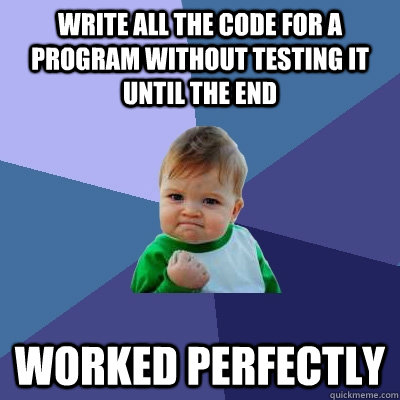 Write all the code for a program without testing it until the end worked perfectly  Success Kid