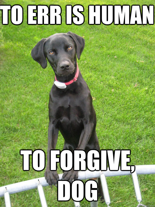 To Err is Human To Forgive, Dog - To Err is Human To Forgive, Dog  Homer the Wisdom Dog