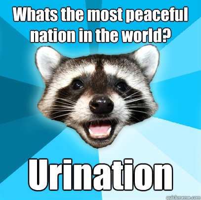 Whats the most peaceful nation in the world? Urination  Lame Pun Coon