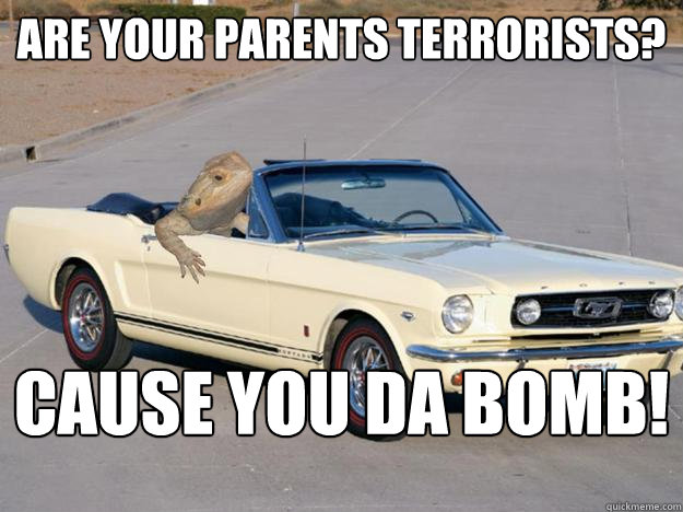 Are Your Parents Terrorists? Cause You Da Bomb!  Pickup Dragon