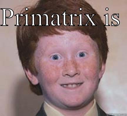 PRIMATRIX IS  GRRRREEEEAAAT! Over Confident Ginger