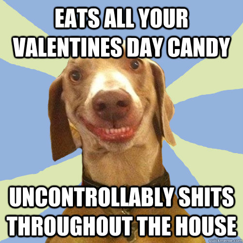 Eats All your valentines day candy uncontrollably shits throughout the house  Disgusting Doggy