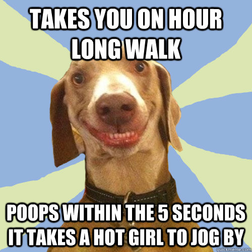 Takes you on hour long walk poops within the 5 seconds it takes a hot girl to jog by  Disgusting Doggy