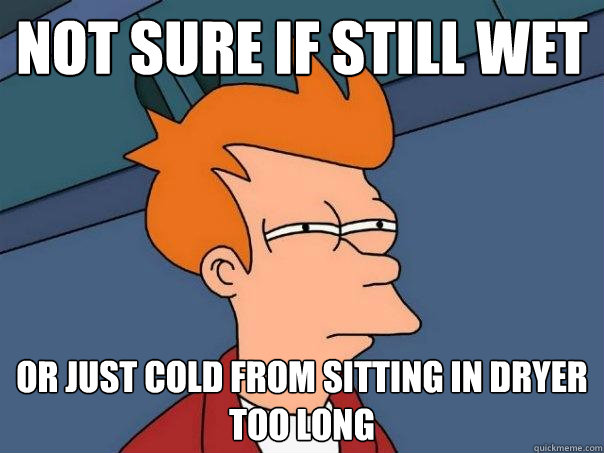 Not sure if still wet Or just cold from sitting in dryer too long - Not sure if still wet Or just cold from sitting in dryer too long  Futurama Fry