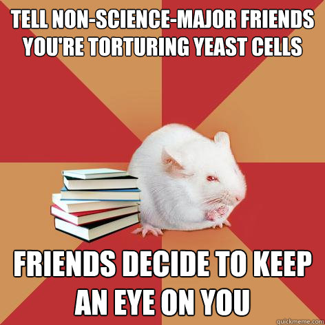 tell non-science-major friends you're torturing yeast cells friends decide to keep an eye on you  Science Major Mouse