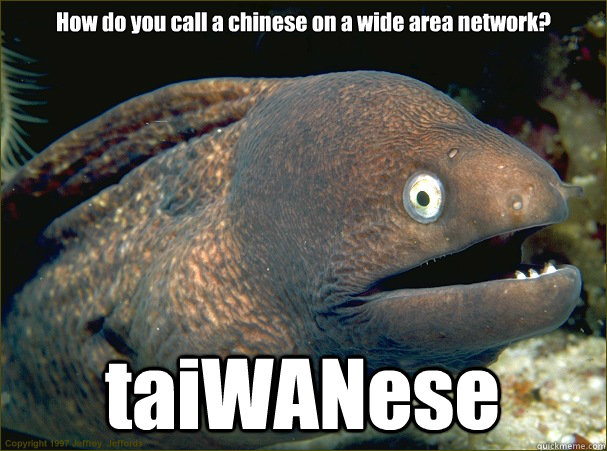 How do you call a chinese on a wide area network? taiWANese  Bad Joke Eel