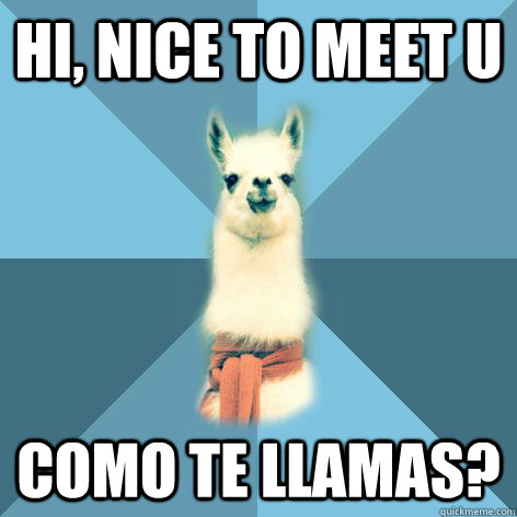 Hi, nice to meet u Como te llamas?  Linguist Llama