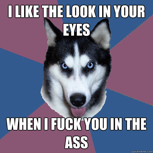 i like the look in your eyes when i fuck you in the ass  Creeper Canine