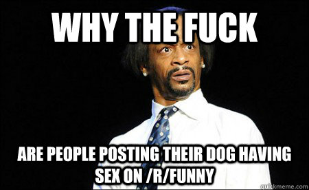 Why the Fuck  are people posting their dog having sex on /R/Funny  