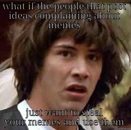 WHAT IF THE PEOPLE THAT POST IDEAS COMPLAINING ABOUT MEMES JUST WANT TO STEAL YOUR MEMES AND USE THEM conspiracy keanu