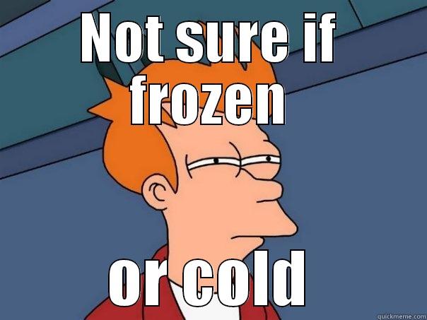 NOT SURE IF FROZEN OR COLD Futurama Fry