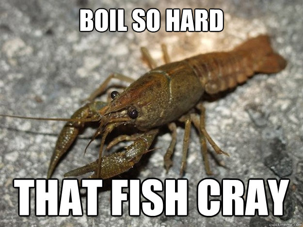 Boil So Hard that fish cray  that fish cray