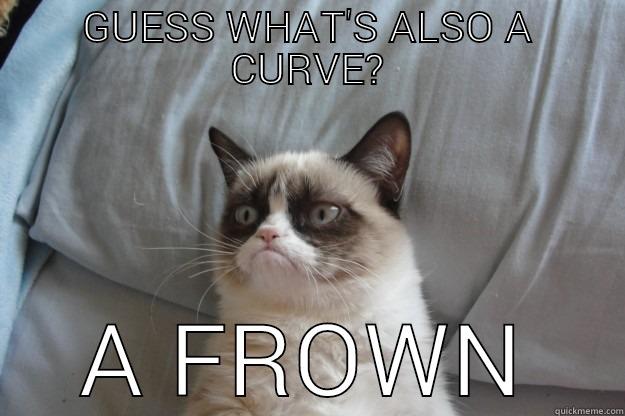 Frown Curve - GUESS WHAT'S ALSO A CURVE? A FROWN Grumpy Cat