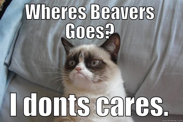 WHERES BEAVERS GOES? I DONTS CARES. Grumpy Cat