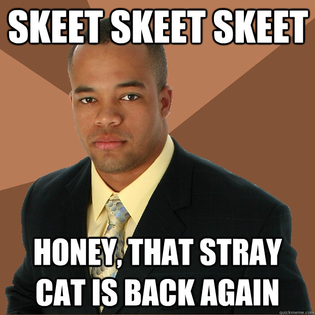 skeet skeet skeet honey, that stray cat is back again - skeet skeet skeet honey, that stray cat is back again  Successful Black Man