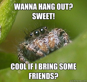 Wanna hang out?
Sweet! Cool if I bring some friends?  Misunderstood Spider