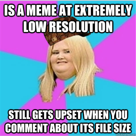 Is a meme at extremely low resolution Still gets upset when you comment about its file size  scumbag fat girl
