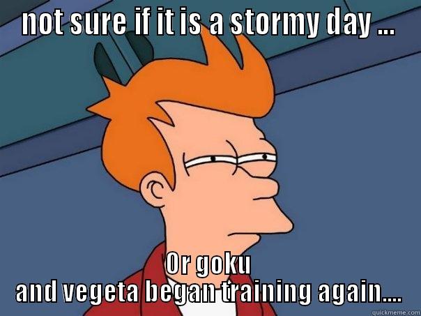 crazy DBZ fan...! - NOT SURE IF IT IS A STORMY DAY ... OR GOKU AND VEGETA BEGAN TRAINING AGAIN.... Futurama Fry