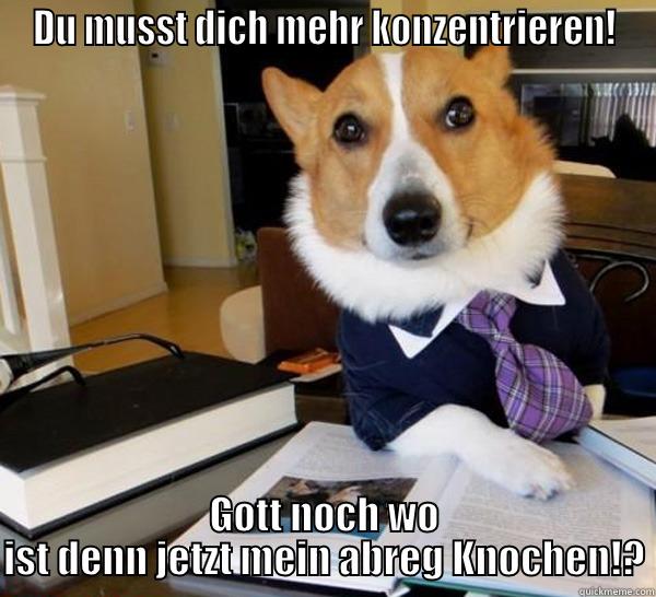 DU MUSST DICH MEHR KONZENTRIEREN! GOTT NOCH WO IST DENN JETZT MEIN ABREG KNOCHEN!? Lawyer Dog