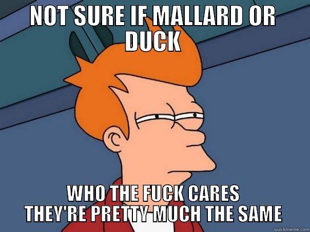 NOT SURE IF MALLARD OR DUCK WHO THE FUCK CARES THEY'RE PRETTY MUCH THE SAME Futurama Fry