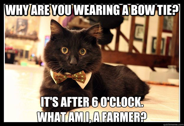 Why are you wearing a bow tie? It's after 6 o'clock.
What am I, a farmer? - Why are you wearing a bow tie? It's after 6 o'clock.
What am I, a farmer?  Fancy Cat