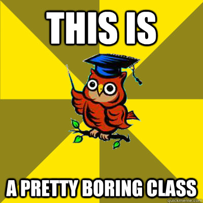 this is a pretty boring class  Observational Owl