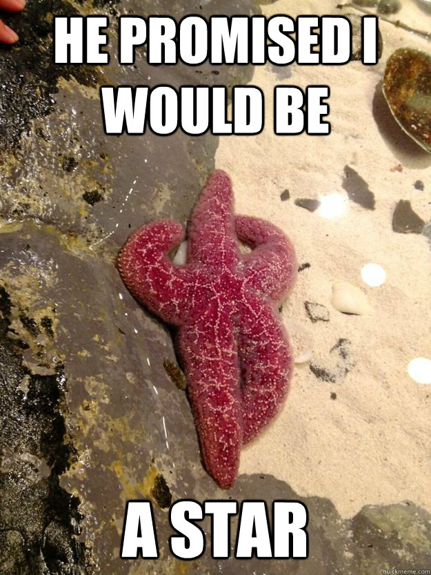 He promised i would be a star - He promised i would be a star  Taken Advantage of Starfish