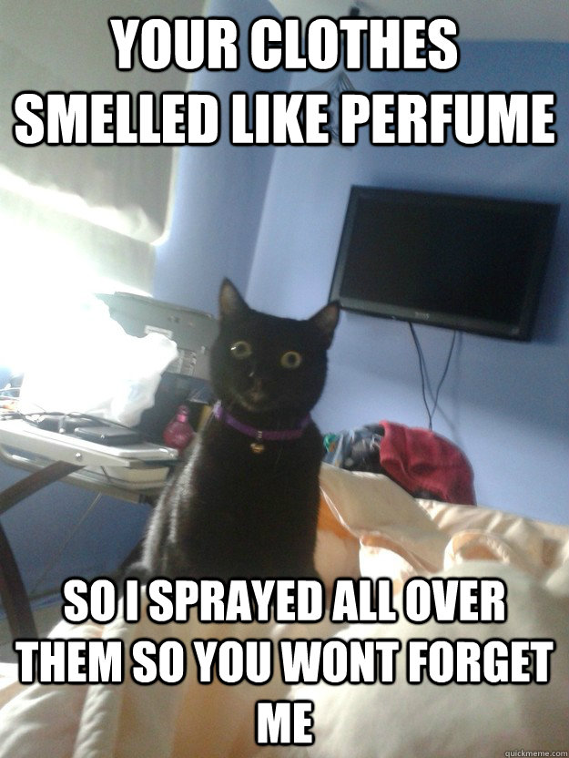 your clothes smelled like perfume so i sprayed all over them so you wont forget me  overly attached cat