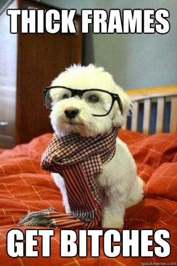 Thick Frames get bitches  Hipster Dog