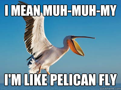 I mean muh-muh-my i'm like pelican fly - I mean muh-muh-my i'm like pelican fly  Pelican Fly