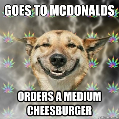 Goes to mcdonalds Orders A MEDIUM CHEESBURGER  Stoner Dog