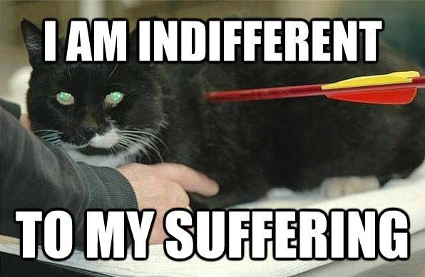 I AM INDIFFERENT TO MY SUFFERING - I AM INDIFFERENT TO MY SUFFERING  untitled meme