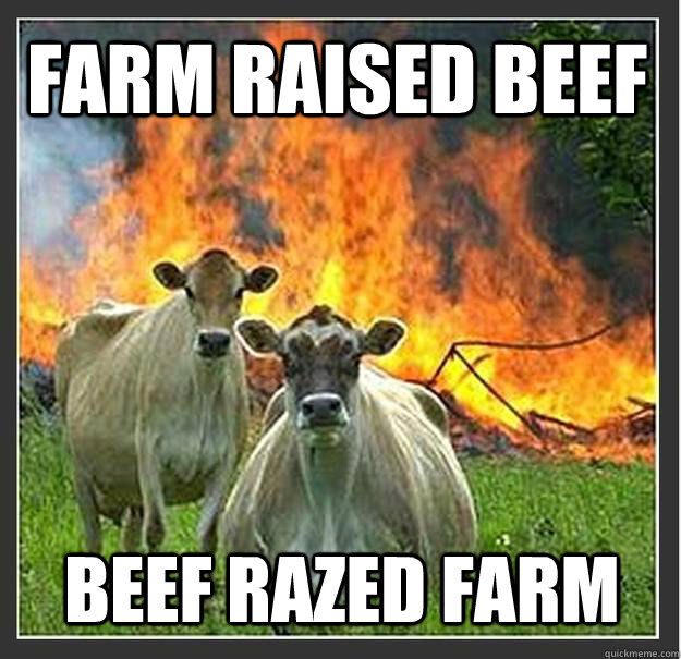 farm raised beef beef razed farm  Evil cows